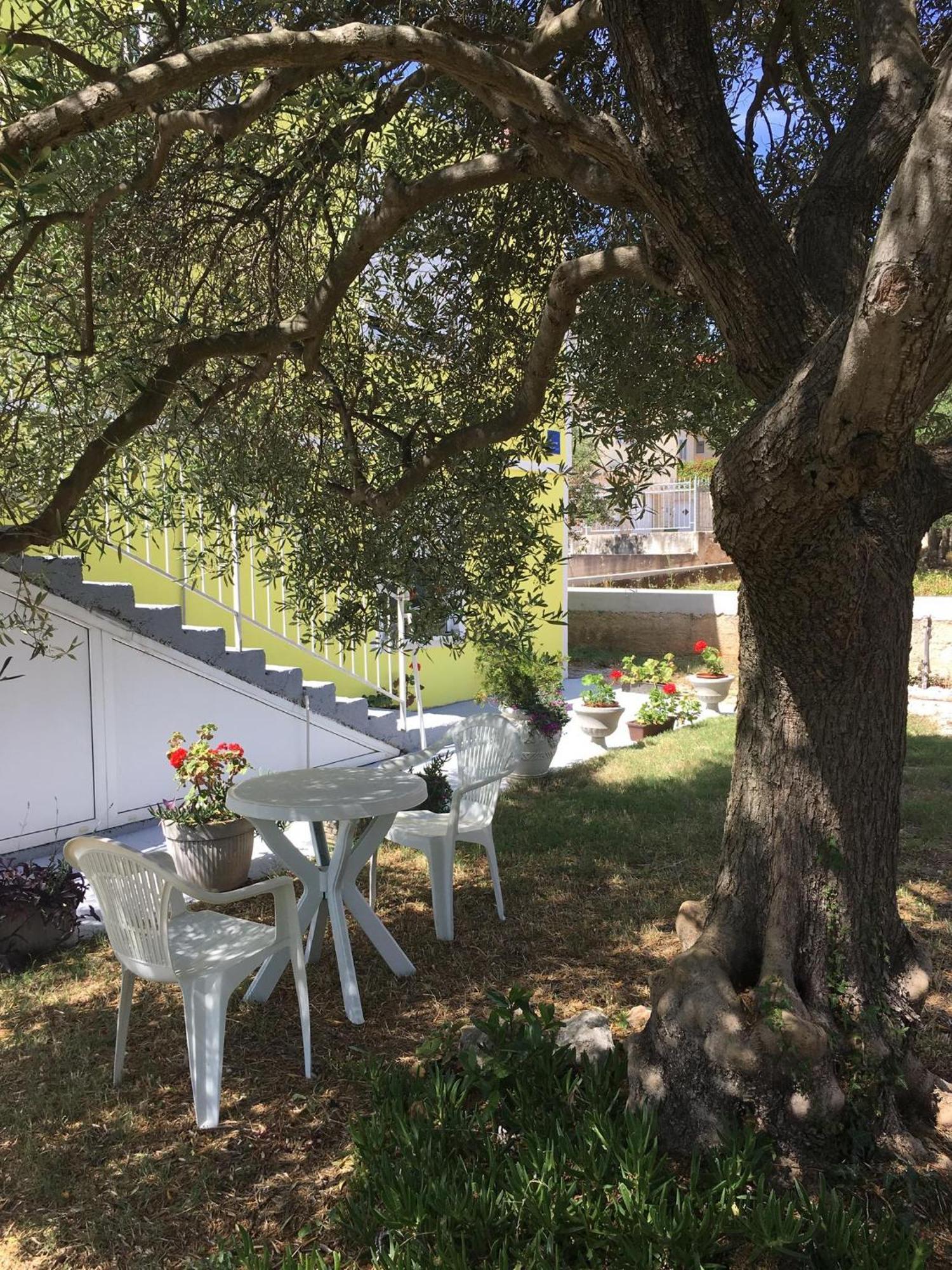 Monika Apartment Bibinje